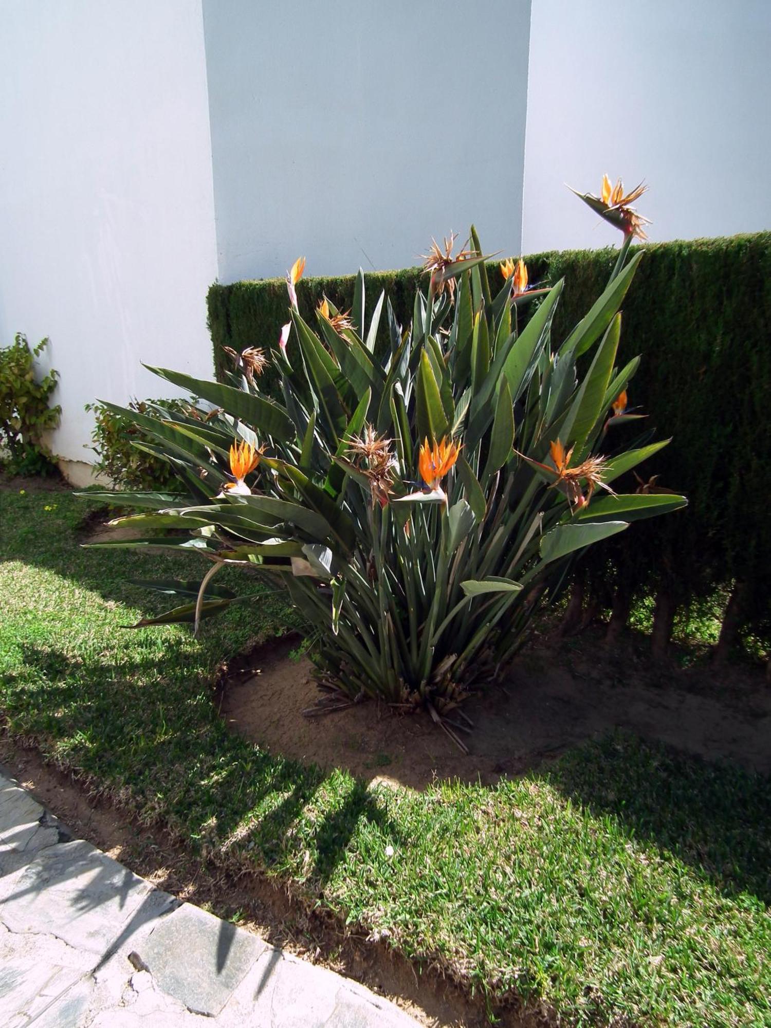 Apartamento Nerja Playa Burriana Exterior photo